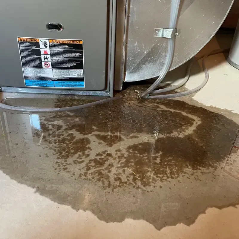 Appliance Leak Cleanup in Trimble County, KY